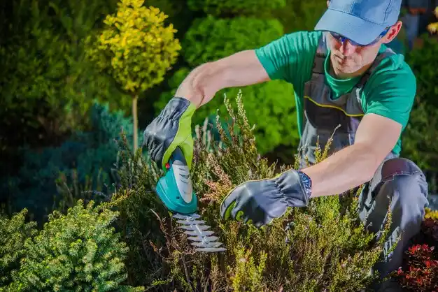 landscaping services Stuart